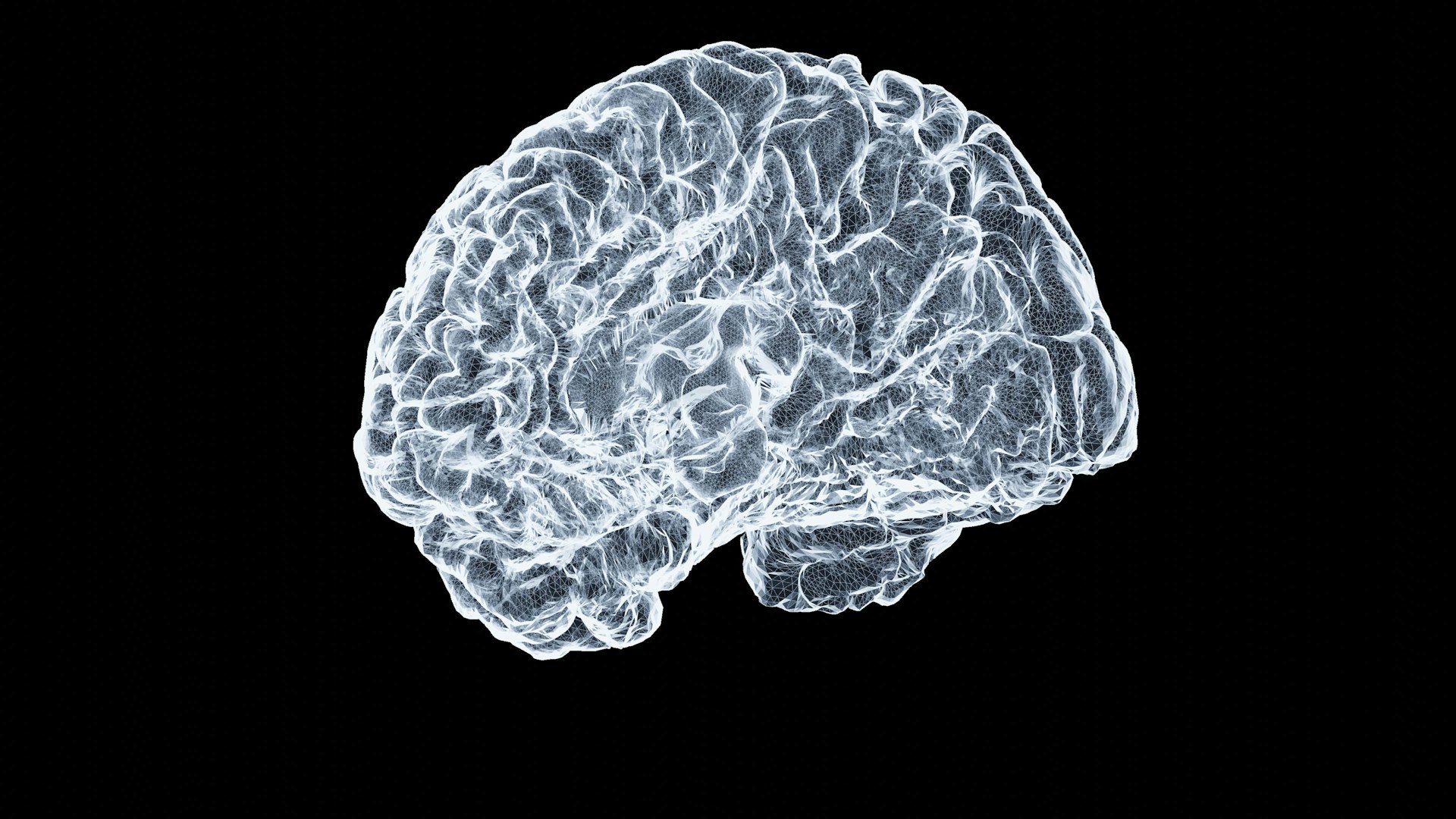 Brain illustration